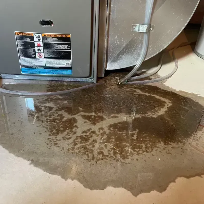 Appliance Leak Cleanup in Marbleton, WY